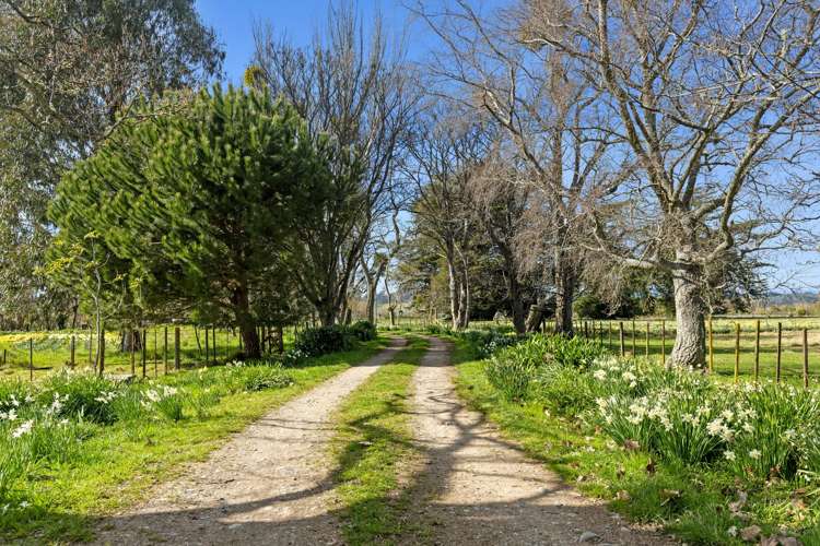 66 Central Road Lower Moutere_15