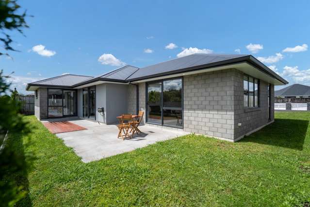 16C Kereruu Street Cambridge_2