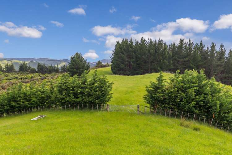 110 Mangaroa Hill Road Mangaroa_18