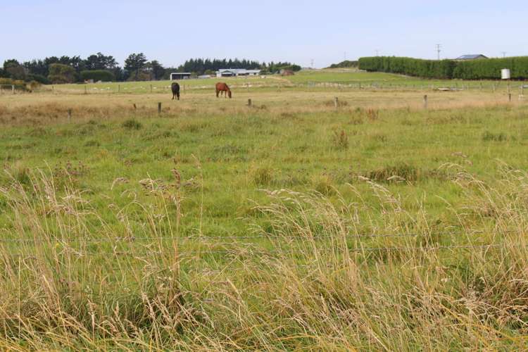 391 Avon Road Tisbury_4