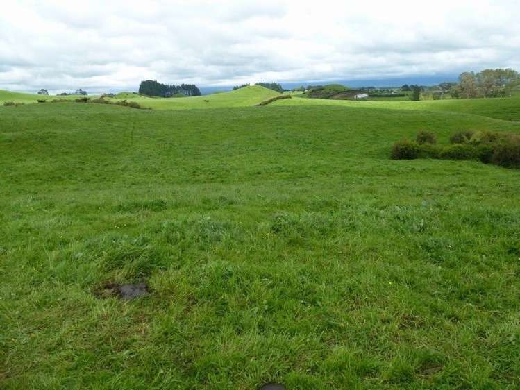 1265 Mountain Road Inglewood_23