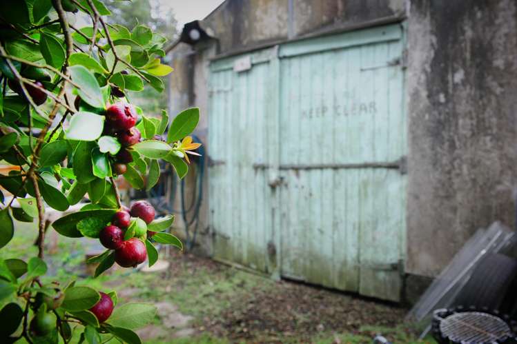 113 Lewis Road Karaka_10