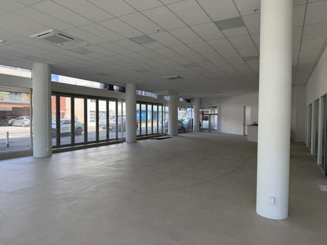 54 Cambridge Terrace Te Aro_1