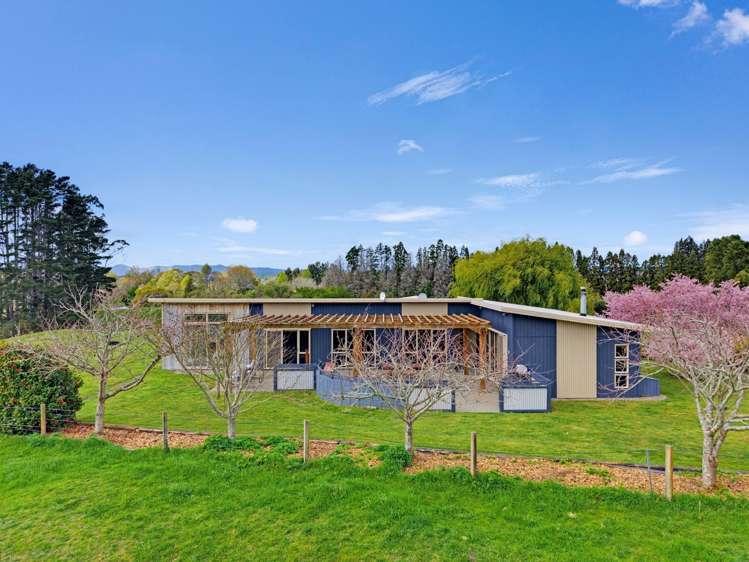 4 Pukeko Lane Onepu_27