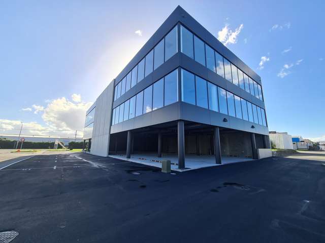 33 Totara Street Mt Maunganui_2