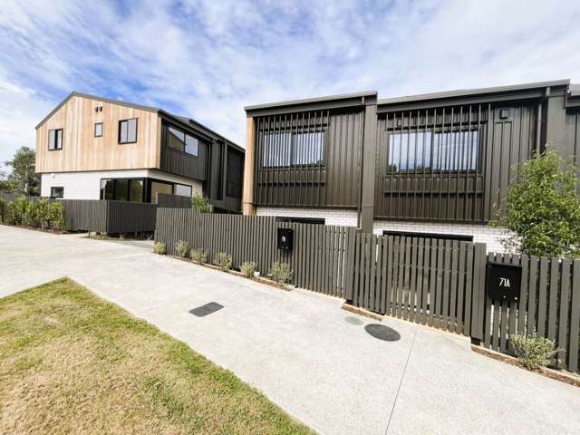 Brand New 3-level Home in Glendowie