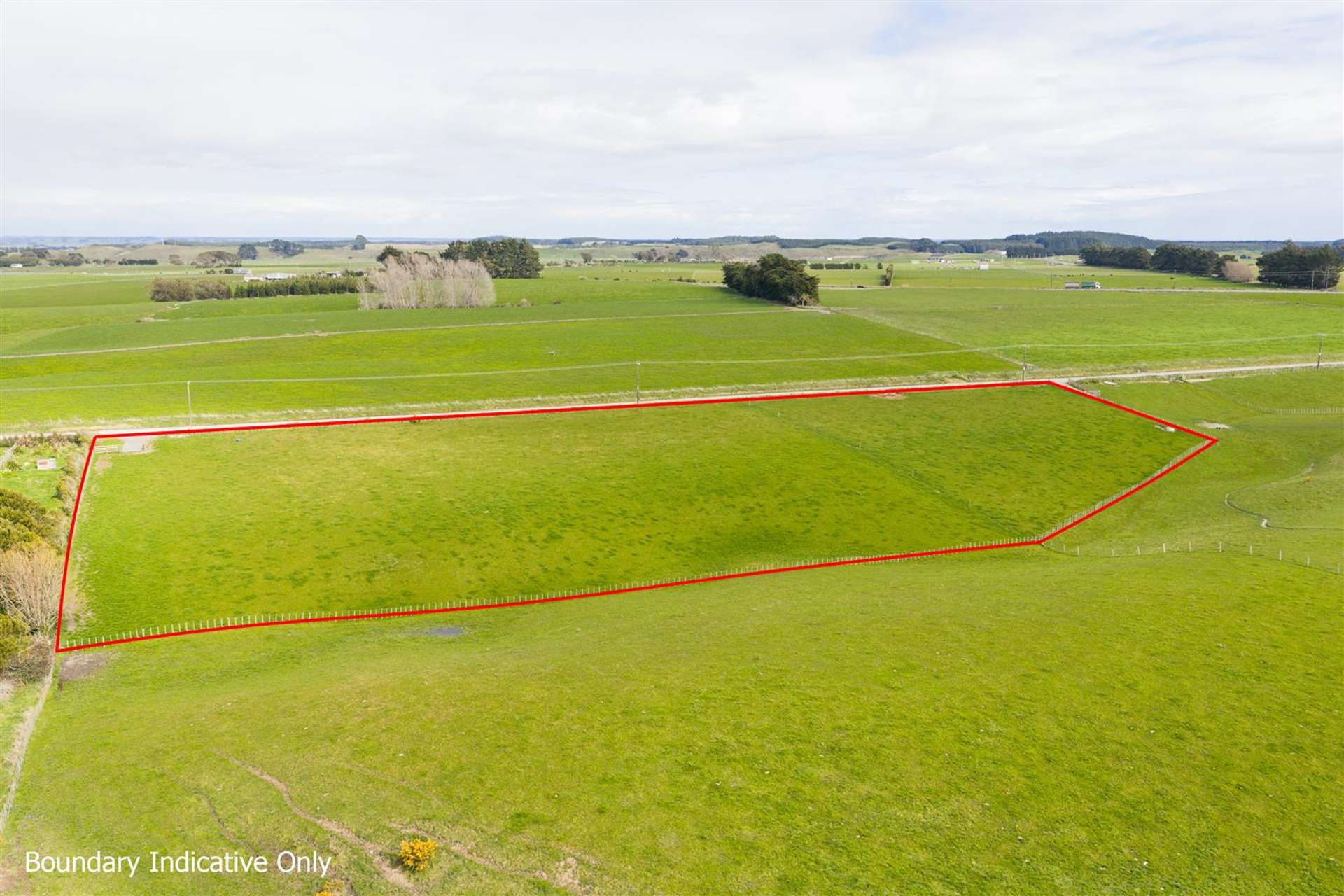 73 Brightwell Road Bulls_0