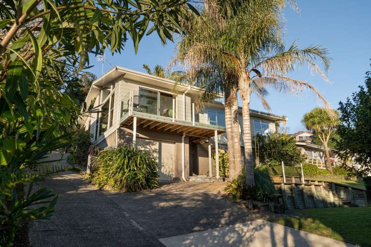 23 Carlton Street Bellevue_18