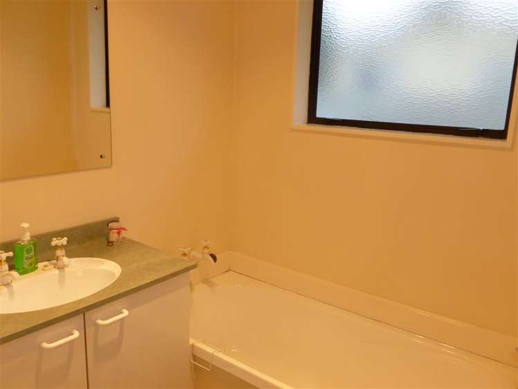 95 South Town Belt Rakaia_9