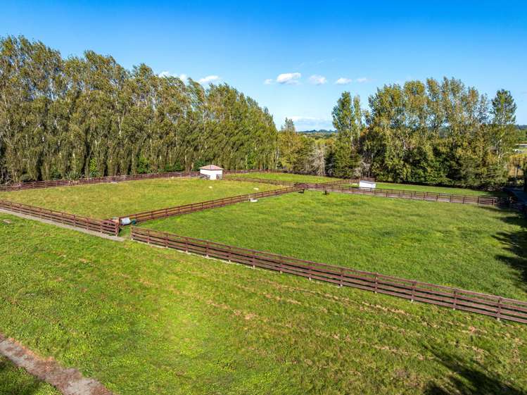 55 Postman Road Dairy Flat_13