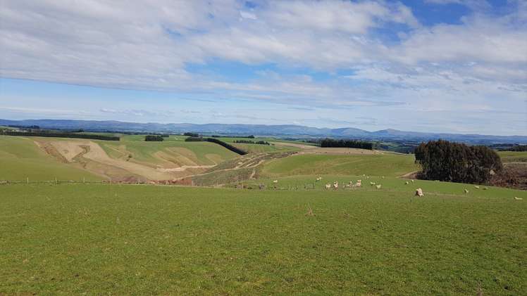 161 Roulston Road Balclutha_10