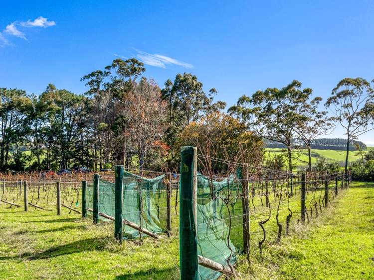 151 Shelly Beach Road Shelly Beach Helensville_26