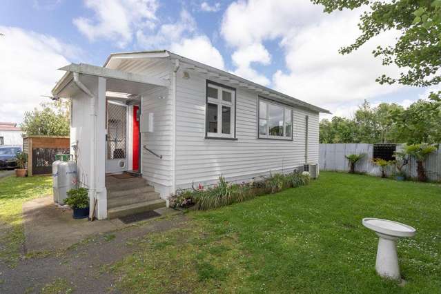 28A Cole Street Dannevirke_1