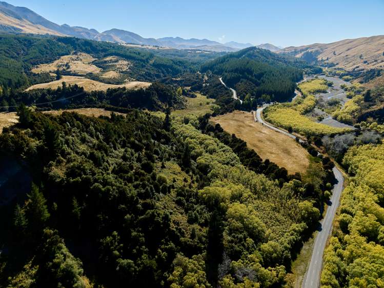 11 Mt Lyford Forest Drive Kaikoura_16