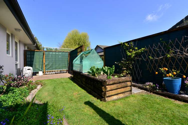 17/16 Rototuna Road Flagstaff_20