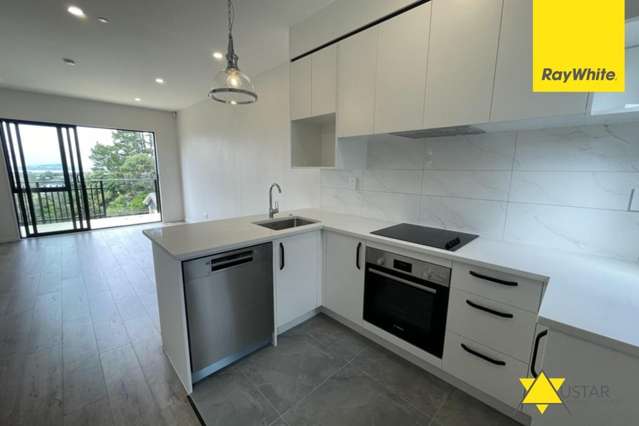  25/241 Don Buck Road Massey_2