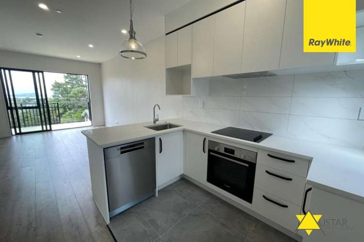  25/241 Don Buck Road Massey_2