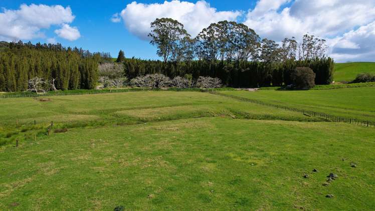 Lot Lots 1 and 2 Marshall Road Pakaraka_14
