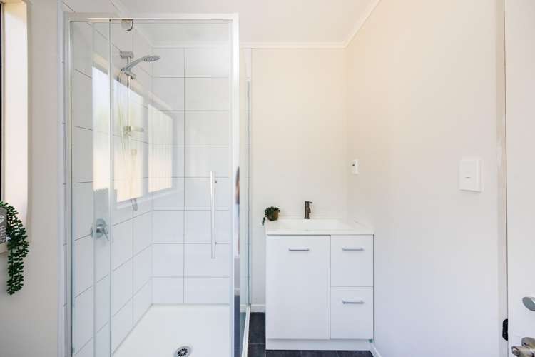 4 Ngarimu Street Roslyn_28