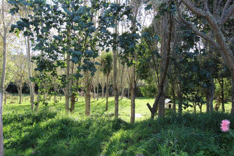 199 Waituna Road Pahiatua_10