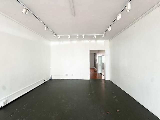 229 Parnell Road Parnell_1