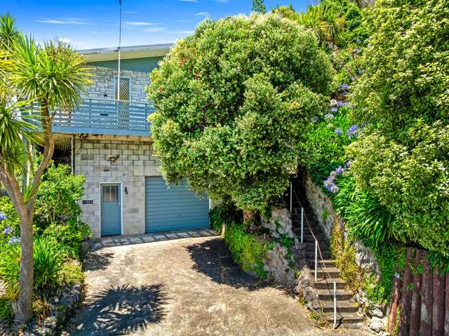 48 Portal Street Durie Hill_4