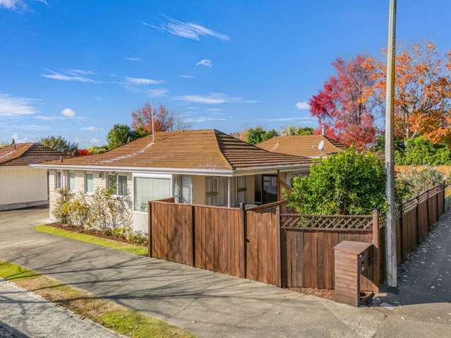 A True Delight on Te Mata Road