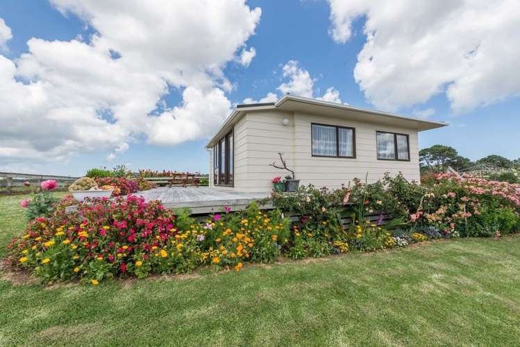 43 Crosland Road South Head_1