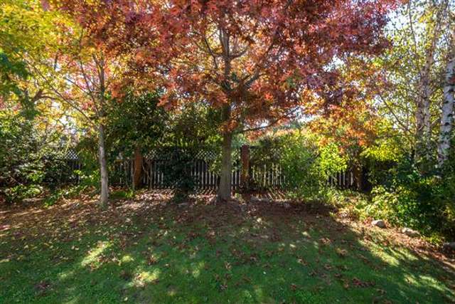 21 Monro Street Blenheim Central_2