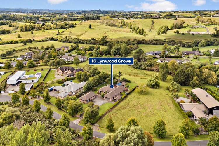 16 Lynwood Grove Dairy Flat_51