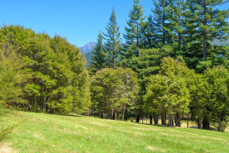 795 Motueka Valley Highway Ngatimoti_23