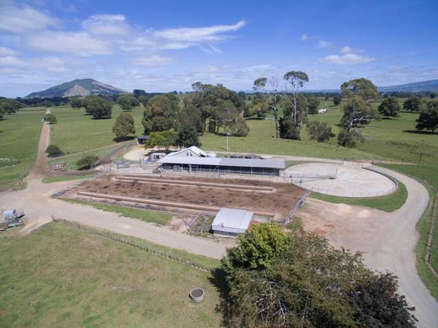 267 Frontier Road Te Awamutu_2
