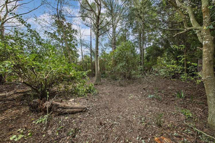 29 Sarsfield Street Southbridge_19