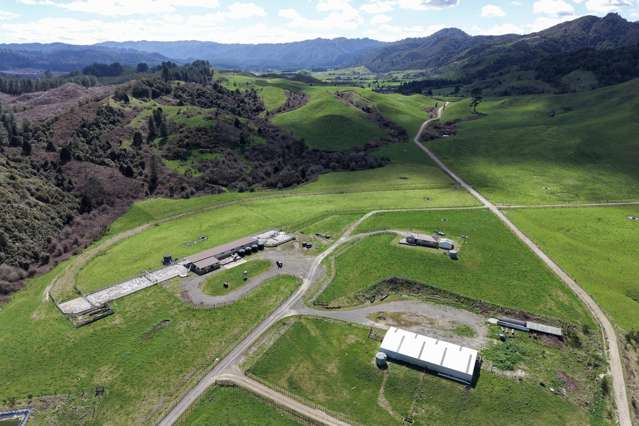Lot 2/283 Minginui Road Galatea_1