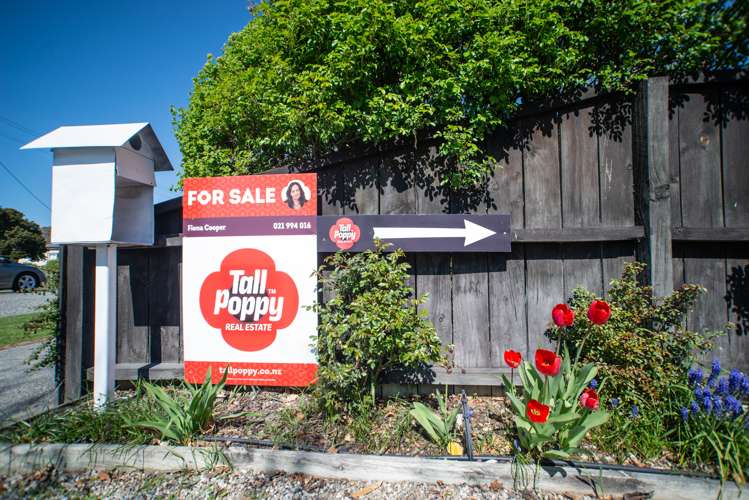 26a Fastnet Street Alexandra_4