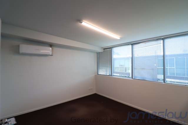 17/49 Sainsbury Road Mount Albert_2