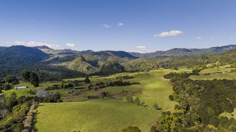 850 Rangihau Road Coroglen_4