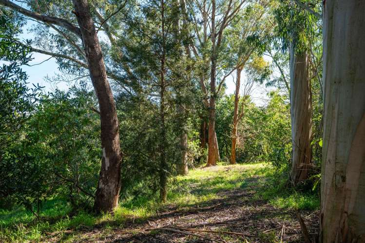 102 Mangatarere Valley Road Carrington_18