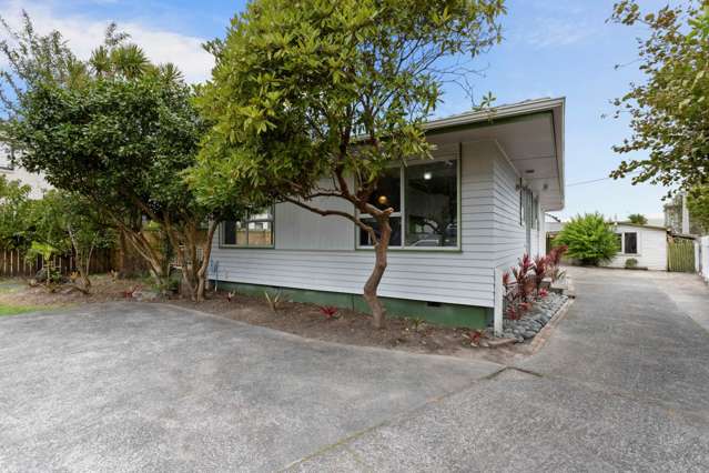 6 Finlow Drive Te Atatu South_1