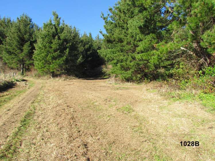 1028 A,B,C McIvor Road Rotoma_14