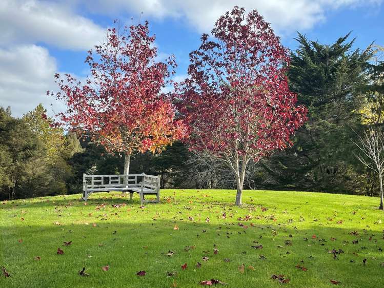 263 Sunnyside Road_0