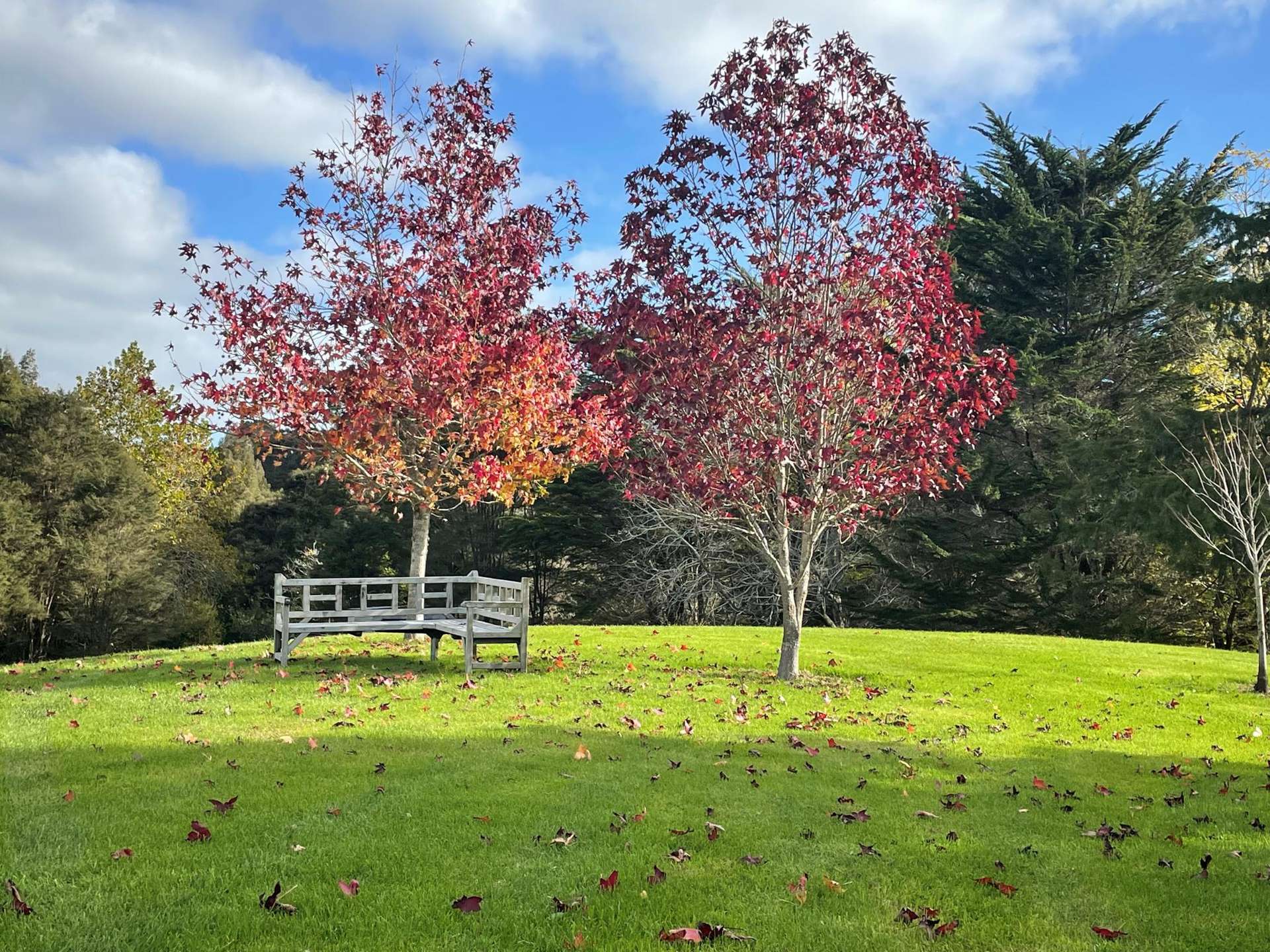 263 Sunnyside Road Coatesville_0