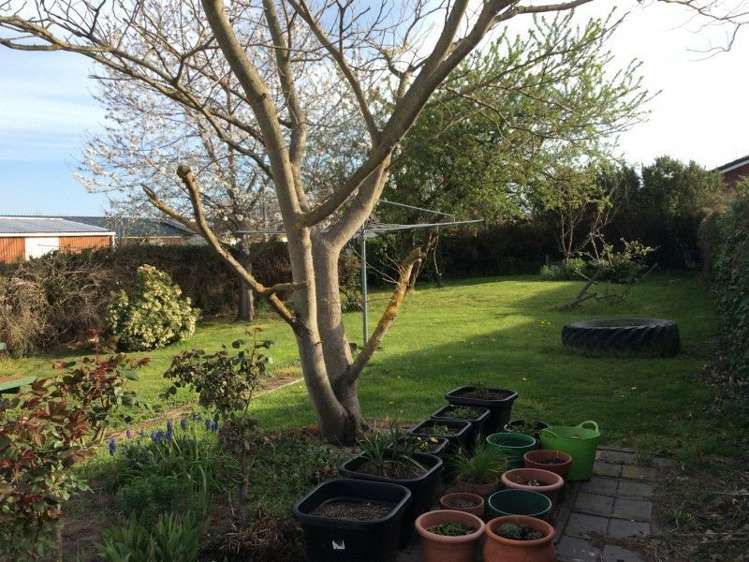 18 Beach Road Hampstead_8