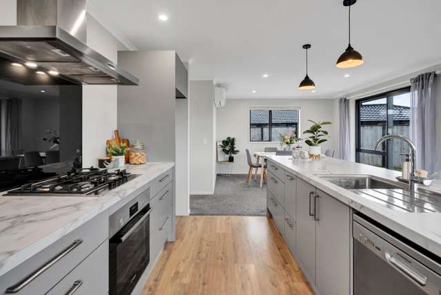 20 Papawhero Drive Bell Block_4