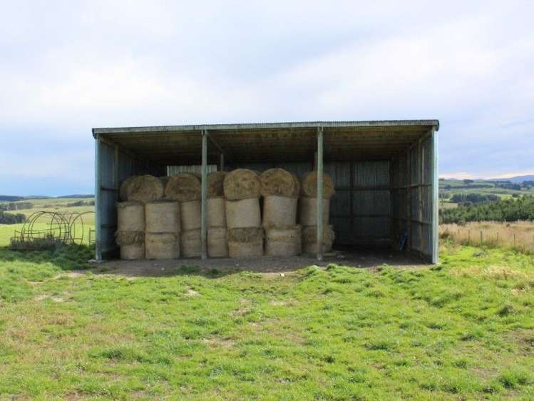 1763 Moa Flat Road West Otago Surrounds_8