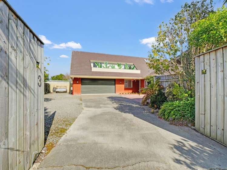 3 Hill Court Awapuni_33