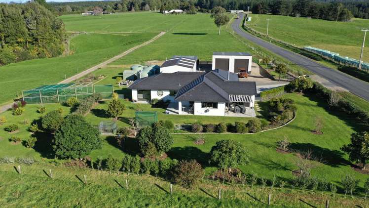 2001 Te Matai Road Kaimai_23