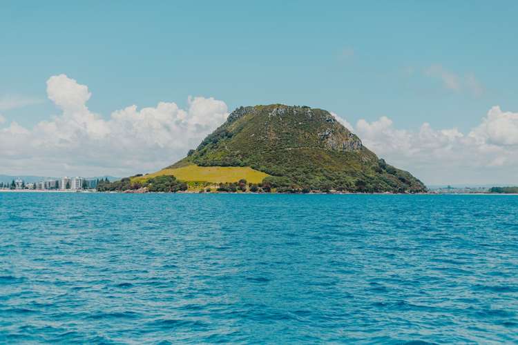 18/436 Maunganui Road Mount Maunganui_12