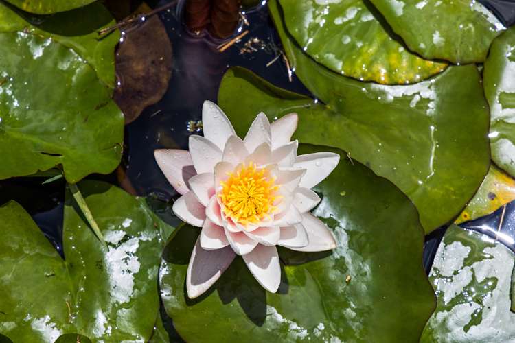 1021 Woodcocks Road Kaipara Flats_19