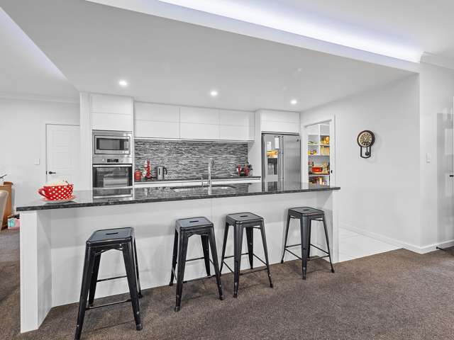 15 Douglas Drive Allenton_3